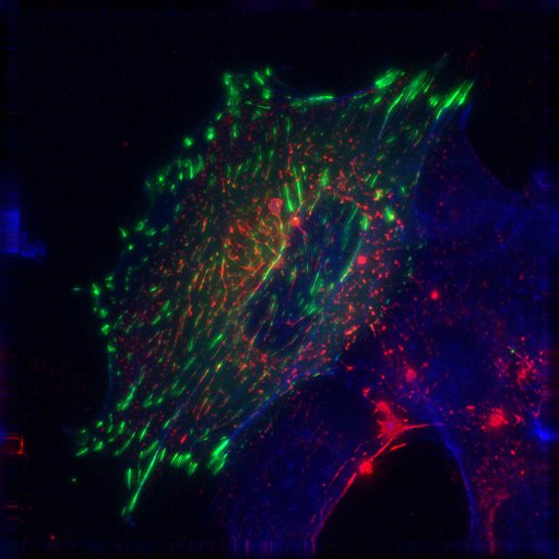 Cell Image Feature Cell Images – Morgan Lab