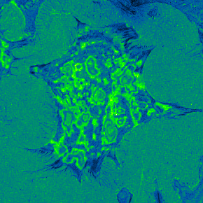 IRMMov01FFSubGreenFireBlue