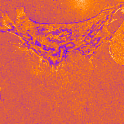 IRMMov02FFSubCoolInvert