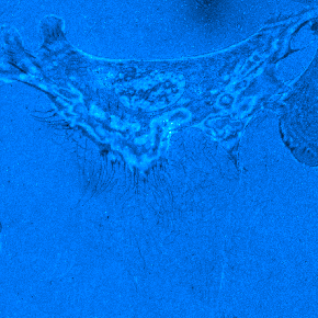 IRMMov02FFSubCyanHot