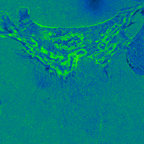 IRMMov02FFSubGreenFireBlue