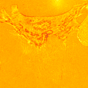 IRMMov02FFSubInvertFire